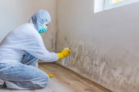 Best Asbestos and Lead Testing During Mold Inspection  in North Weeki Wachee, FL